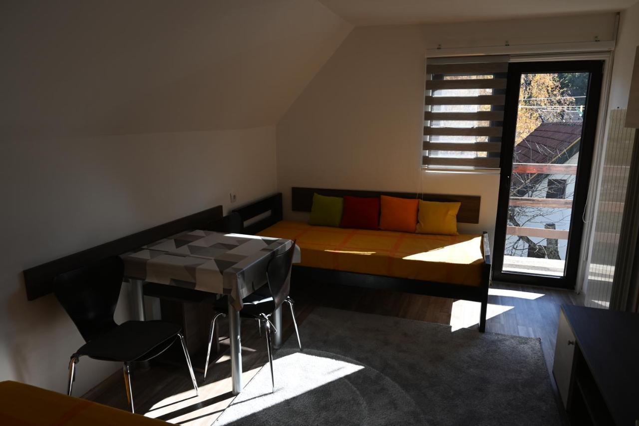 קופאוניק Apartman Vukasin מראה חיצוני תמונה
