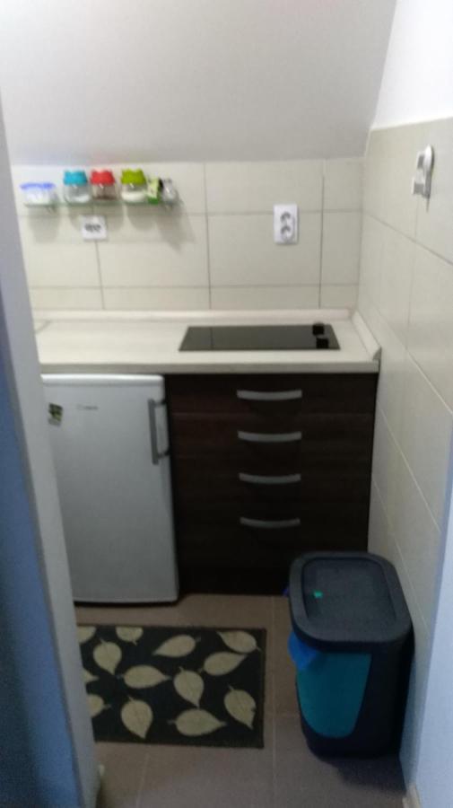 קופאוניק Apartman Vukasin מראה חיצוני תמונה