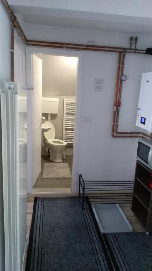 קופאוניק Apartman Vukasin מראה חיצוני תמונה